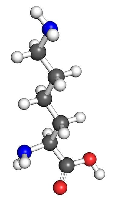 Amino Acids