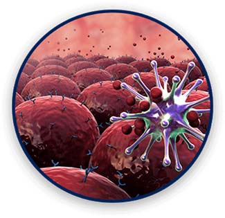 Boost Your Immunity to Fight Infections.