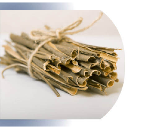 Willowbark