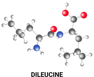Dileucine