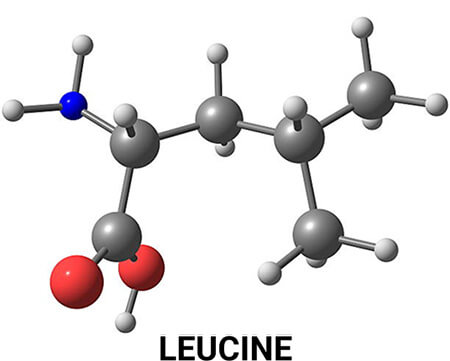 Leucine