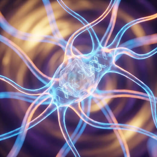 Brain neuron