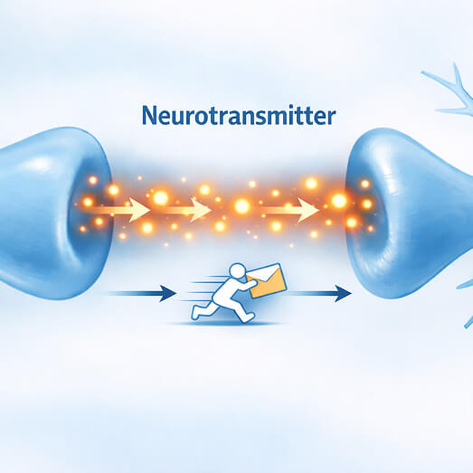 Neurotransmitter