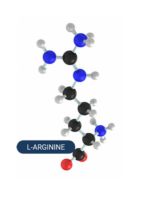 l-arginine