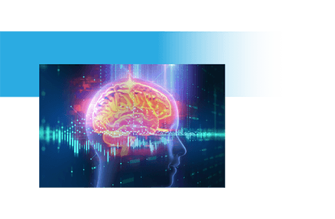 Brain