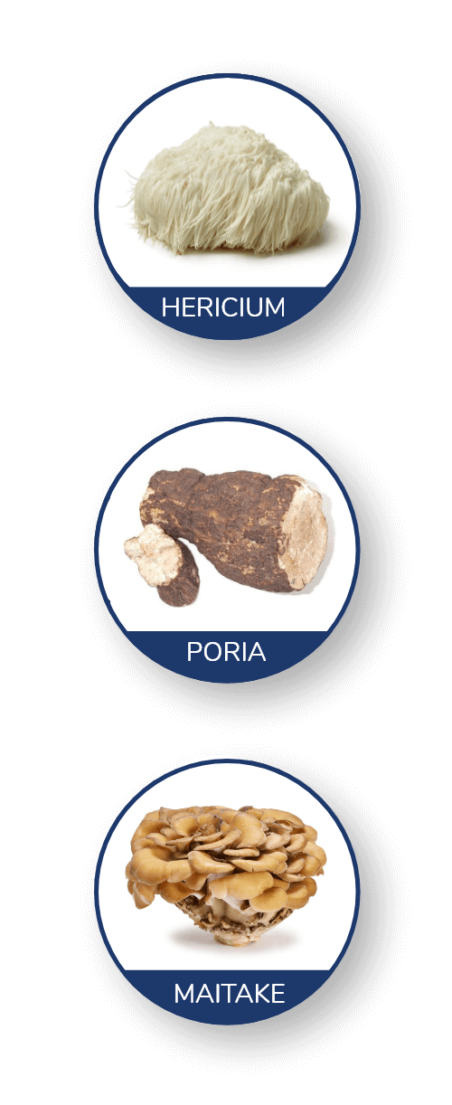 Hericum Maitake and Poria