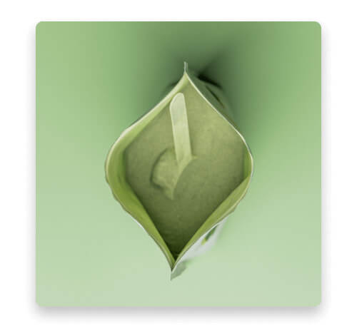 Advanced Greens Plus