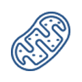 Mitochondrial Icon