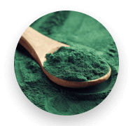 Spirulina -