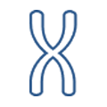 Telomere Icon