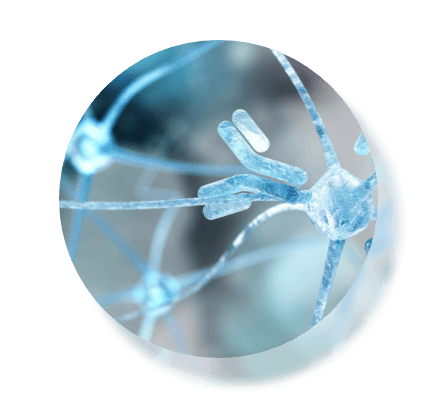 Myelin