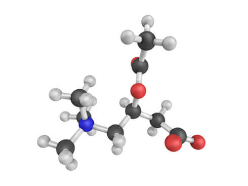 Acetyl-l-carnitine