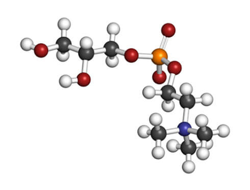 alpha-glycero-phosphocholine