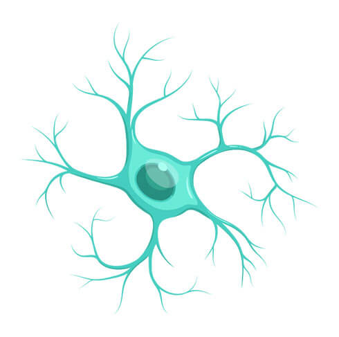 Microglia cell illustration