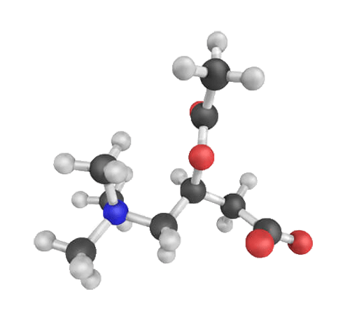 Acetyl-l-carnitine