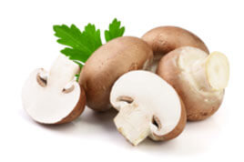 Royal Agaricus