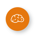 Brain