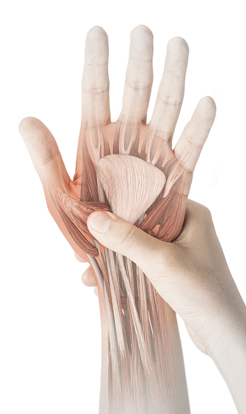 Tingling Or Numbness In Your Hands Or Feet? - Advanced Nerve Support