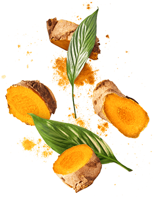 Turmeric