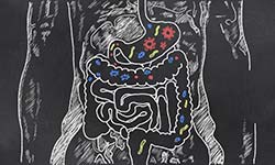 Probiotic Bacteria