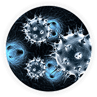 Bacteria and viruses