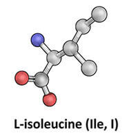 L-isoleucine