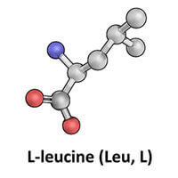 L-leucine