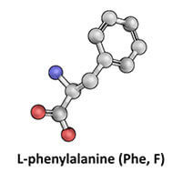 L-phenylalanine