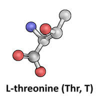L-threonine
