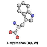 L-tryptophan