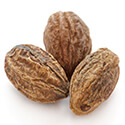 Terminalia