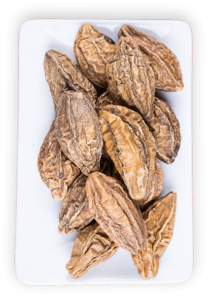Terminalia