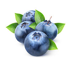 Blueberry