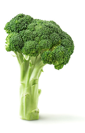 Broccoli