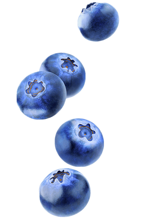 Blueberries