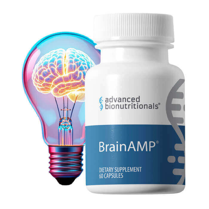 BrainAMP