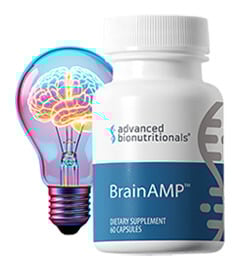 BrainAMP